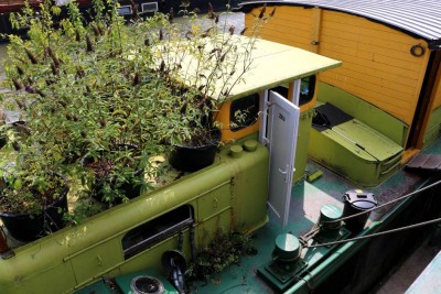 dol1.jpg (157.03 Kio) Vu 2278 fois dol1.jpg