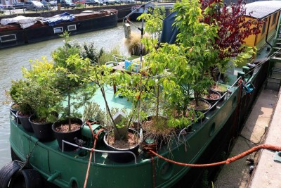 dol3.jpg (186.56 Kio) Vu 2278 fois dol3.jpg