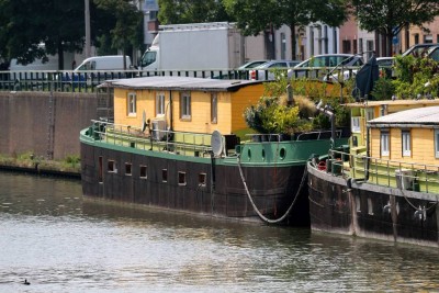 dol4.jpg (143.82 Kio) Vu 2278 fois dol4.jpg