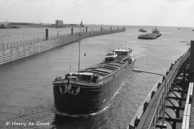 Duo 02308731 (1).jpg (154.76 Kio) Vu 1019 fois Duo 02308731 (1).jpg