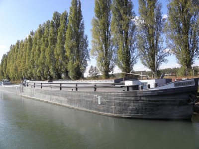 PA185425.JPG (466.85 Kio) Vu 5900 fois PA185425.JPG