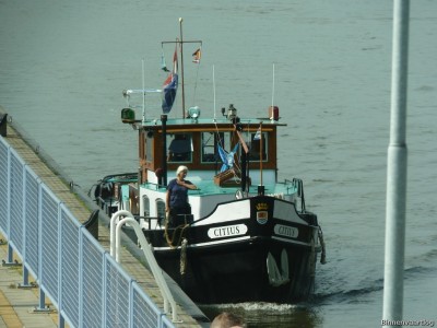 Citius-2-16-09-2014.jpg (235.45 Kio) Vu 1742 fois Citius-2-16-09-2014.jpg