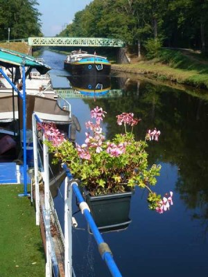 01_2014-10-01 - Merlin-003.jpg (71.67 Kio) Vu 3977 fois 01_2014-10-01 - Merlin-003.jpg