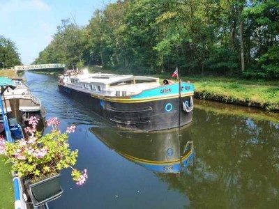 01_2014-10-01 - Merlin-006.jpg (72.44 Kio) Vu 3977 fois 01_2014-10-01 - Merlin-006.jpg