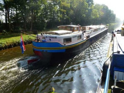 01_2014-10-01 - Merlin-007.jpg (74.81 Kio) Vu 4134 fois 01_2014-10-01 - Merlin-007.jpg