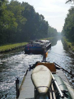 01_2014-10-01 - Merlin-009.jpg (69.08 Kio) Vu 4134 fois 01_2014-10-01 - Merlin-009.jpg