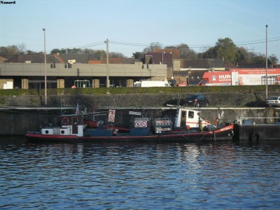 SAM_3640.JPG (163.69 Kio) Vu 2684 fois SAM_3640.JPG