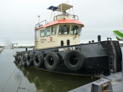 Walrus-II-3-05-10-2014.jpg (159.55 Kio) Vu 1993 fois Walrus-II-3-05-10-2014.jpg