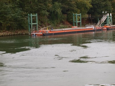 PA073145 (Copier).JPG (243.8 Kio) Vu 5123 fois PA073145 (Copier).JPG