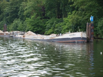 P7122965 (Copier).JPG (306.84 Kio) Vu 1900 fois P7122965 (Copier).JPG