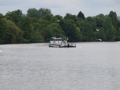 P7122991 (Copier).JPG (185.41 Kio) Vu 3713 fois P7122991 (Copier).JPG