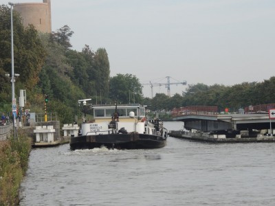 DSCN8617 (Copier).JPG (190.29 Kio) Vu 1043 fois DSCN8617 (Copier).JPG