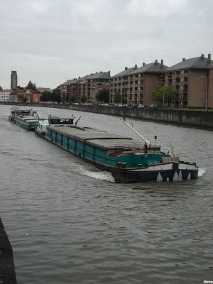 Shamrock NDdesDunes 10.JPG (76.02 Kio) Vu 3103 fois Shamrock NDdesDunes 10.JPG