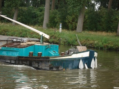 Shamrock NDdesDunes 03.JPG (164.19 Kio) Vu 3103 fois Shamrock NDdesDunes 03.JPG