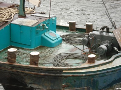 Shamrock NDdesDunes 11.JPG (139.71 Kio) Vu 3110 fois Shamrock NDdesDunes 11.JPG