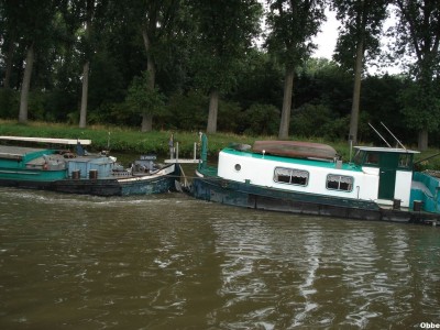 Shamrock NDdesDunes 04.JPG (181.35 Kio) Vu 3110 fois Shamrock NDdesDunes 04.JPG