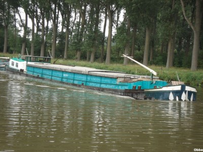 Shamrock NDdesDunes 02.JPG (182.54 Kio) Vu 3110 fois Shamrock NDdesDunes 02.JPG