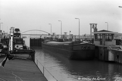 Truus 03170577 (1).jpg (184.41 Kio) Vu 1279 fois Truus 03170577 (1).jpg
