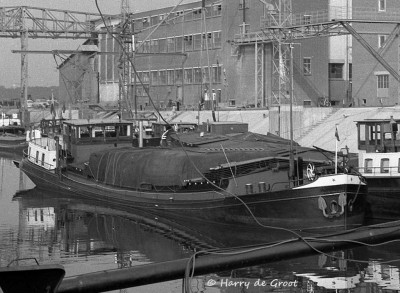 Hendrika 02305363 (1).jpg (135.12 Kio) Vu 1710 fois Hendrika 02305363 (1).jpg