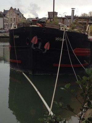 wise.jpg (204.64 Kio) Vu 6870 fois wise.jpg