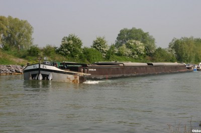 Enzo BL 12.JPG (116.12 Kio) Vu 4054 fois Enzo BL 12.JPG