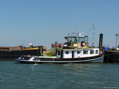 Zwarte-Gans-3-03-07-2014.jpg (161.37 Kio) Vu 1866 fois Zwarte-Gans-3-03-07-2014.jpg