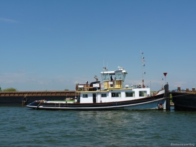 Zwarte-Gans-2-03-07-2014.jpg (149.47 Kio) Vu 1866 fois Zwarte-Gans-2-03-07-2014.jpg