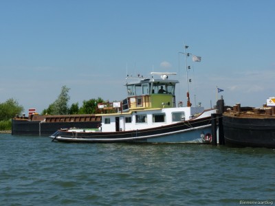 Zwarte-Gans-1-03-07-2014.jpg (167.7 Kio) Vu 1866 fois Zwarte-Gans-1-03-07-2014.jpg