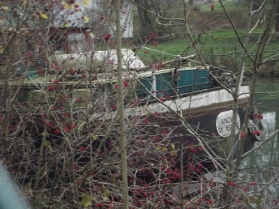 DSCF3725.JPG (298.32 Kio) Vu 6523 fois DSCF3725.JPG