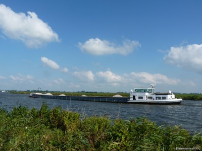 Elgeria-3-12-09-2014.jpg