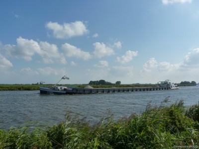 Elgeria-2-12-09-2014.jpg