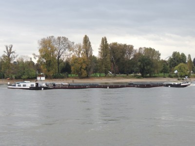 DSCN8776 (Copier).JPG (155.94 Kio) Vu 1718 fois DSCN8776 (Copier).JPG