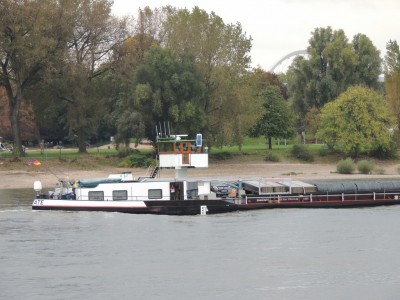 DSCN8778 (Copier).JPG (221.54 Kio) Vu 1718 fois DSCN8778 (Copier).JPG