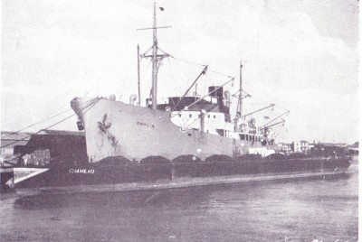 chameau.jpg (274.66 Kio) Vu 3589 fois chameau.jpg