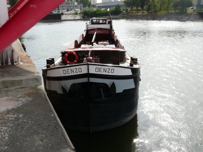 denzo-avrd.JPG