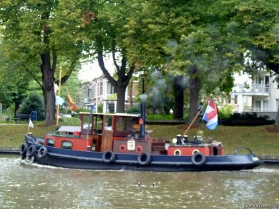 Feint-3-08-09-2014.jpg
