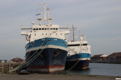 Nouvel an 163.JPG (90.65 Kio) Vu 3569 fois Nouvel an 163.JPG