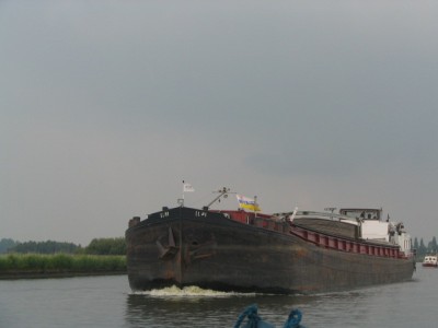 elwi-1-25-08-2006.jpg