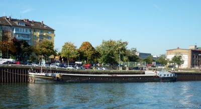baccara-2.jpg