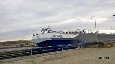 NEREUS  (1) (Copier).jpg
