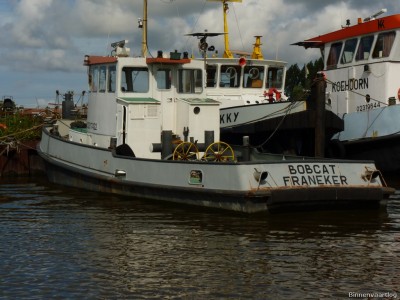 Bobcat-1-01-09-2014.jpg (217.67 Kio) Vu 1993 fois Bobcat-1-01-09-2014.jpg