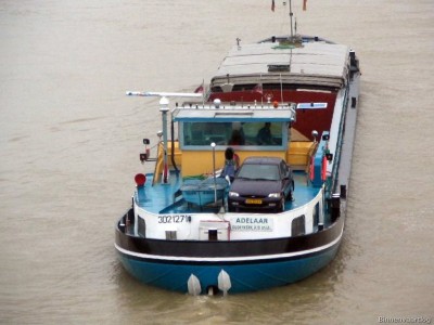 adelaar106032007lq0.jpg (149.82 Kio) Vu 1705 fois adelaar106032007lq0.jpg