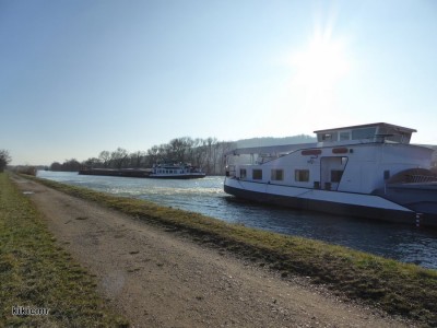 P1060758 (Copier).JPG (124.01 Kio) Vu 3967 fois P1060758 (Copier).JPG