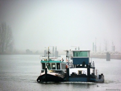 Furie-1-17-02-2015.jpg (168.23 Kio) Vu 1860 fois Furie-1-17-02-2015.jpg