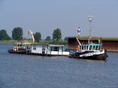 furie-pieter-1-21-05-2008.jpg