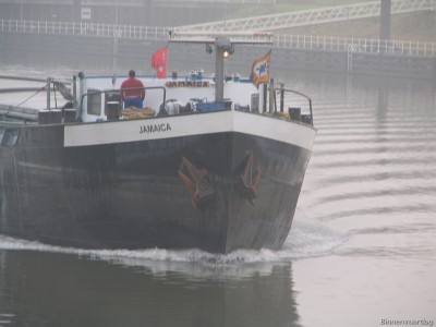 jamaica-3-06-11-2008.jpg (117.48 Kio) Vu 1929 fois jamaica-3-06-11-2008.jpg