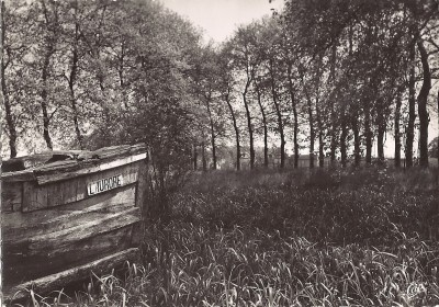 AURORE_CP.jpg (756.13 Kio) Vu 6988 fois AURORE_CP.jpg