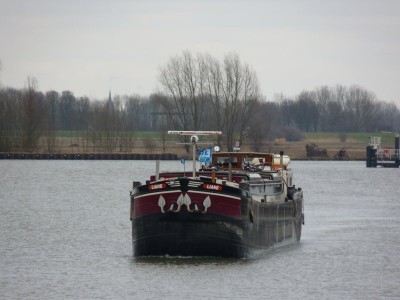 Liane-1-25-02-2015.jpg