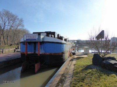 P1070085 (Copier).JPG (114.7 Kio) Vu 6123 fois P1070085 (Copier).JPG