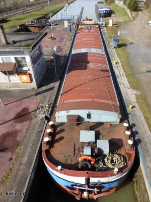 P1070149 (Copier).JPG (172.56 Kio) Vu 6115 fois P1070149 (Copier).JPG